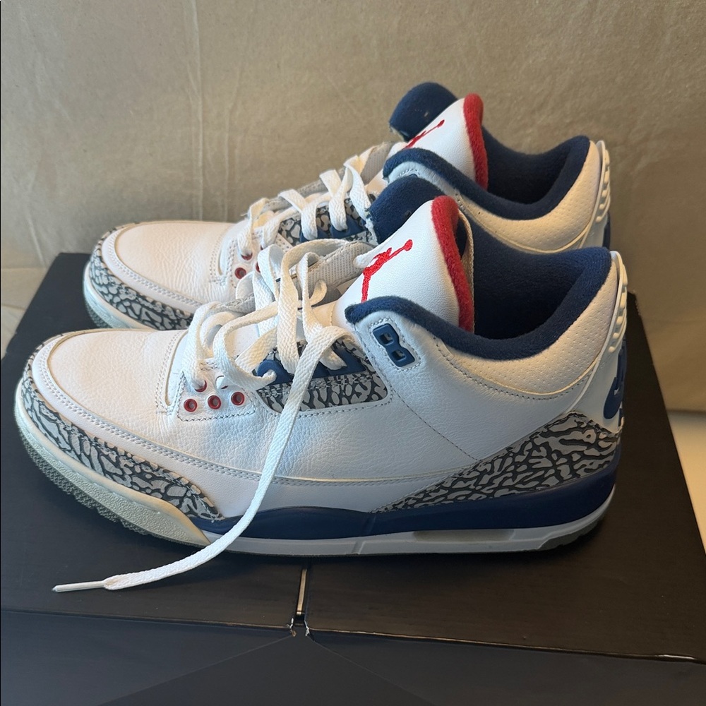 Nike Jordan 3 Retro